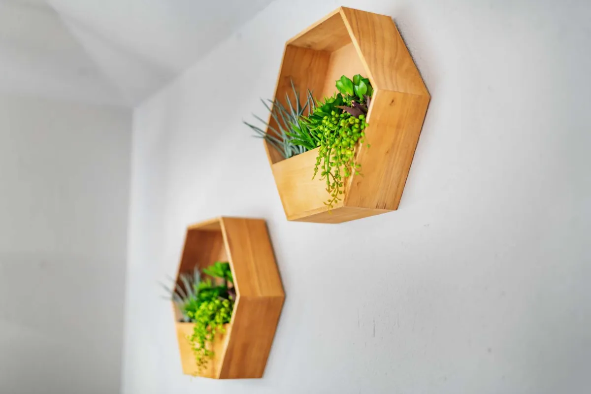 This image highlights a grouping of hexagonal wooden planters filled with lush greenery, bringing a sense of nature indoors. The serene arrangement creates a tranquil atmosphere, hinting at the importance of green spaces throughout the property.